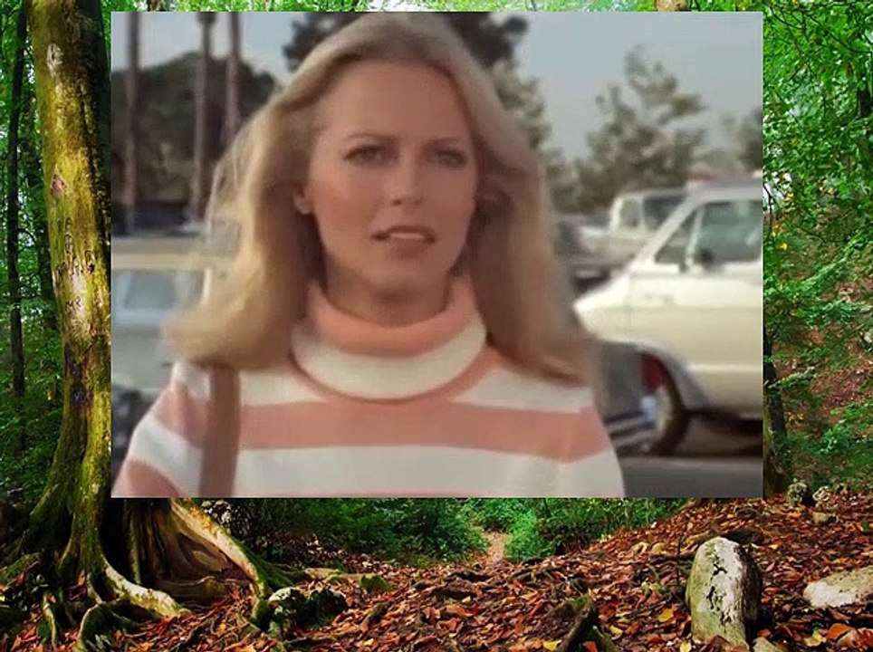 Charlie's Angels S2 E10 - Angels in the Wings