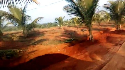 Cell 9347817389 Tattabanda 100 acre Farm Land Project Charan Group Vizag