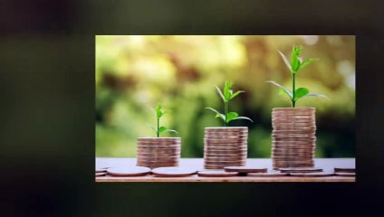 Svenska Valutagruppen | valutagruppen.se