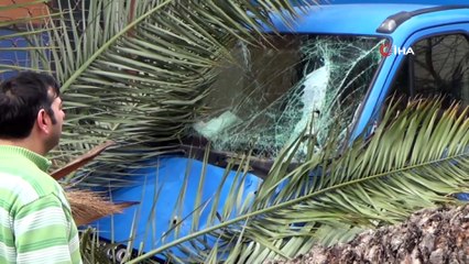 Hatay'da Fırtına Ağaçları Devirdi, Otomobiller Hasar Gördü