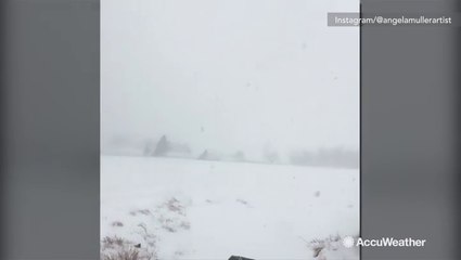 Blizzard conditions making visibility low