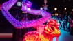 Sydney Lunar CNY 2019 23-23 More Lions Dances with lit up  night lions & dragons at Overseas Passenger Terminal, Opera House, Circular Quay, First Fleet Park, the Rocks (in Order) Feb 2019,
