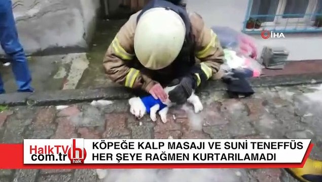 İtfaiyeci dakikalarca köpeğe kalp masajı ve suni teneffüs yaptı ama...
