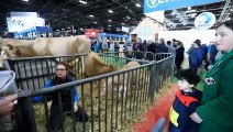 Et si la Villarde du Vercors devenait l’effigie d’un prochain Salon de l’agriculture ?
