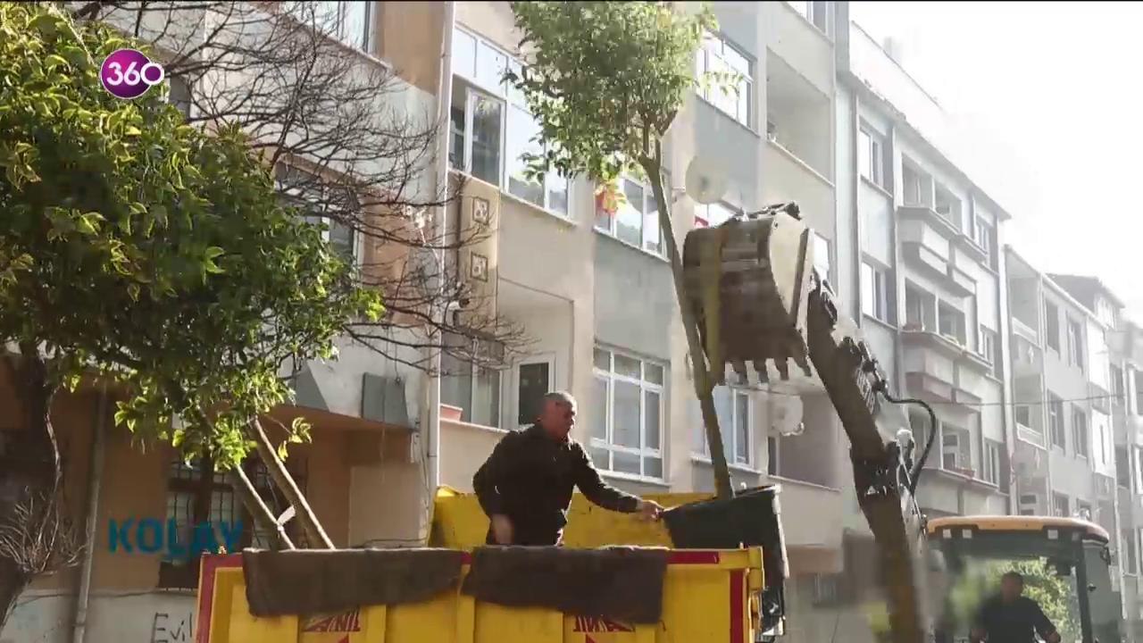 Kolay mı Sandın?