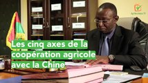 Burkina Faso : Les cinq axes de la coopération agricole avec la Chine