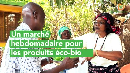 Burkina Faso : Un marché hebdomadaire pour les produits éco-bio