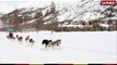 La montagne insolite #3 : les chiens de traîneaux, croc-blanc