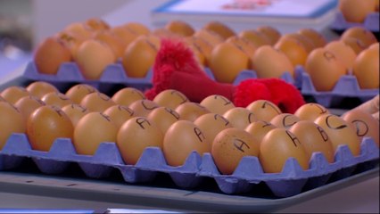 Les chroniqueurs se cassaient des oeufs sur le tête