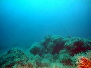 정선출장안마 -안전100%ョØ1Øa9528g0391｛카톡KM800｝정선전지역출장마사지정선출장ko안마sj정선출장마사지'오피걸だち조건만남출장콜걸