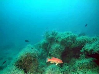 화천출장안마 -안전100%ョØ1Øa9528h0391『카톡WW900』화천전지역출장마사지화천출장ko안마sj화천출장마사지'오피걸どな아가씨강추출장콜걸