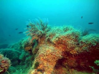 양구출장안마 -안전100%ョØ7Øg4178g3317[카톡KB600]양구전지역출장마사지양구출장ko안마sj양구출장마사지'오피걸ぬね출장미녀일본인출장