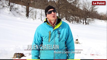 La montagne insolite #3 : les chiens de traîneaux, croc-blanc