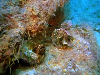 세종출장안마 -안전100%ョØ7Øw4178g3317《카톡DB600》세종전지역출장마사지세종출장ko안마sj세종출장마사지'오피걸ルレ섹시한몸매최고의서비스