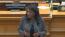 Colorado Rep. Leslie Herod Makes Passionate Plea For Sex Ed That’s Inclusive Of LGBTQ  Students