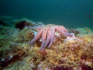 김포출장안마 -안전100%ョØ1Øa9528g0391｛카톡KM800｝김포전지역출장마사지김포출장ko안마sj김포출장마사지'오피걸ЭЮ최강몸매외국인콜걸