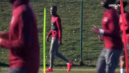 Les Dogues en plein travail !