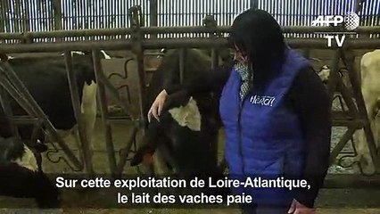 Une initiative locale pour un meilleur revenu laitier