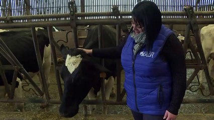 Une initiative locale pour un meilleur revenu laitier