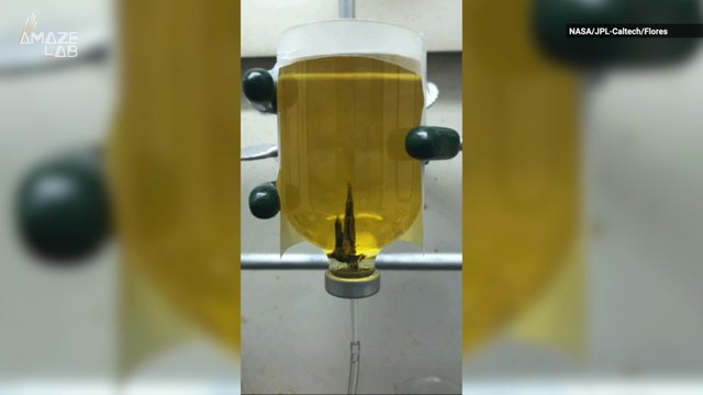 NASA Scientists Reproduce Origins of Life On Ocean Floor in A Lab