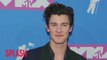 Shawn Mendes Got 'Chills' From Rami Malek's Oscars Speech