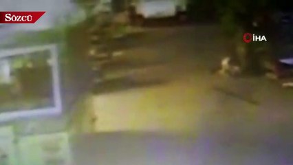 Söke'deki AVM'de köpeklerin bulduğu bebek cesedi olayı aydınlatıldı