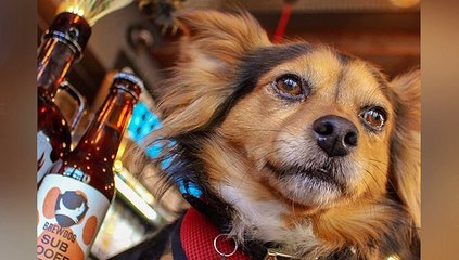 GOODLINES: 27th February 2019