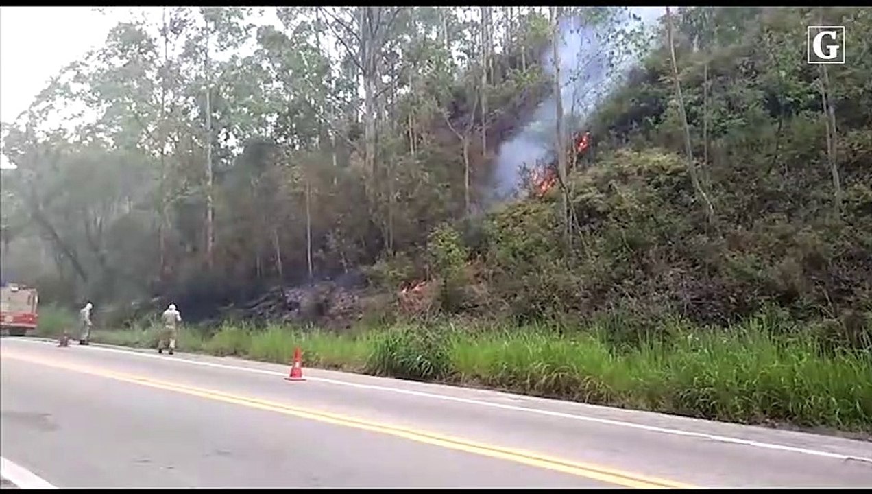 Bombeiros controlam fogo na BR 262