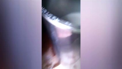 Falta de energia elétrica: Vídeo mostra leite sendo jogado fora