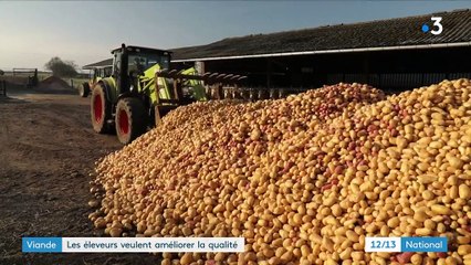 Saône-et-Loire : les éleveurs veulent améliorer la qualité de la viande