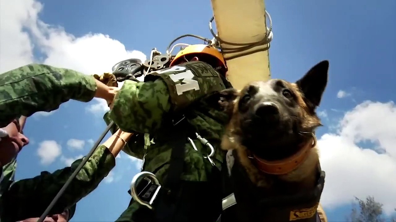 La Policia Militar de cara a su incorporacion a la Guardia Nacional | Especiales Milenio