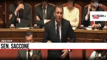 Senato, Saccone di Forza Italia contro Luigi Di Maio 