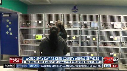 Kern County Animal Services on World Spay Day