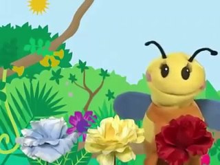 Baby Einstein Baby's First Sounds ✩✩✩ Baby Einstein