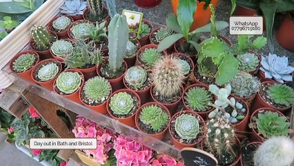 Bath and Bristol Sights!!