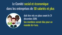 Le Comité social et économique dans les entreprises de 50 salariés et plus