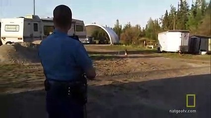 Alaska State Troopers S02E10   Operation Moose Decoy