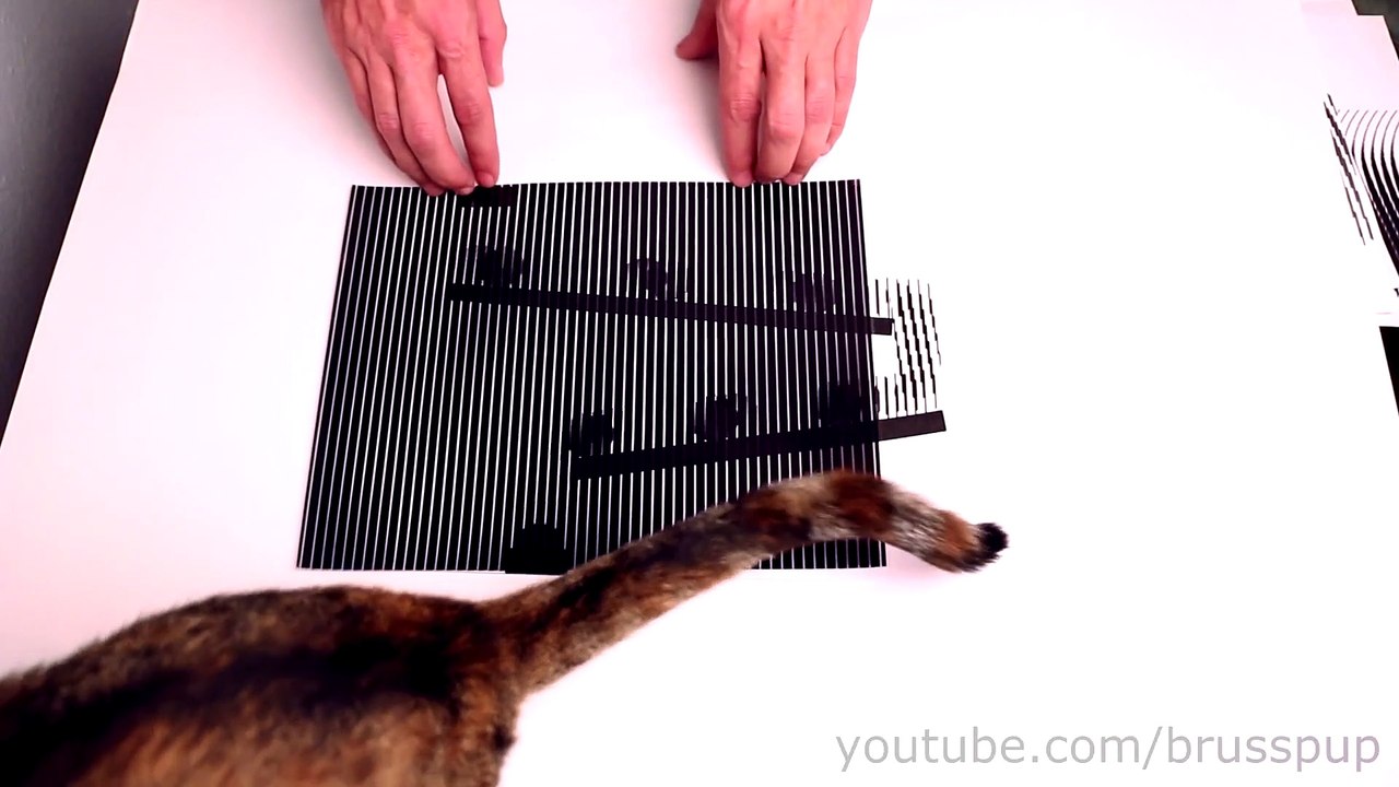 Amazing Animated Optical Illusions!