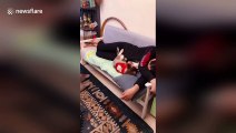 Jealous husky drags puppy son away from owner so he can get special seat