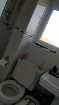 Oiseau coincé dans la salle de bain, elle veut le nourrir avec des graines !
