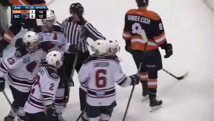 ECHL Greenville Swamp Rabbits 3 at South Carolina Stingrays 2