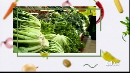 TG GARGANOTV 26 02 2019