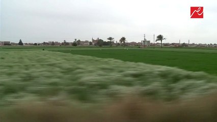 #يحدث_في_مصر | أهالي قرية فلتاؤوس يحتفلون بأوسكار رامي مالك على طريقتهم الخاصة تحت شعار "رامي ابننا"