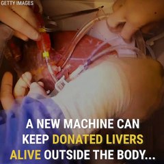 This Machine Can Keep A Liver Alive Outside The Body