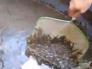 Ce qu'il découvre dans cette cuve va vous faire frissonner...