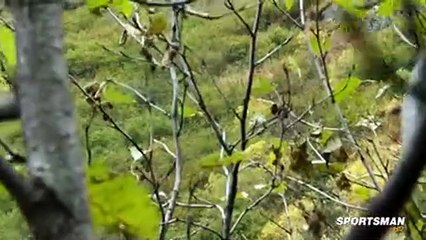 Meateater S01 E08