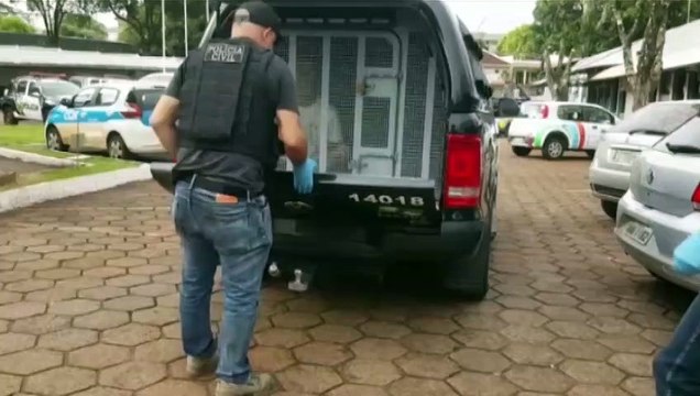 Homem é detido em ação da Delegacia de Homicídios