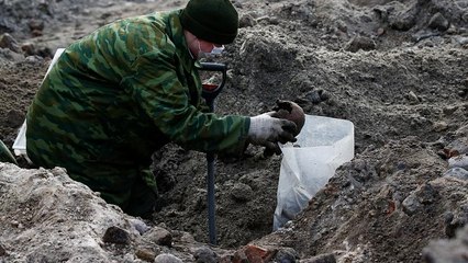 Remains of hundreds of Jews unearthed in Nazi-era mass grave in Belarus