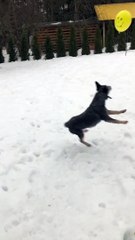 Bixie Bounces Her Balloon