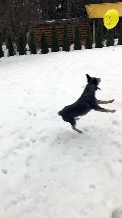 Bixie Bounces Her Balloon